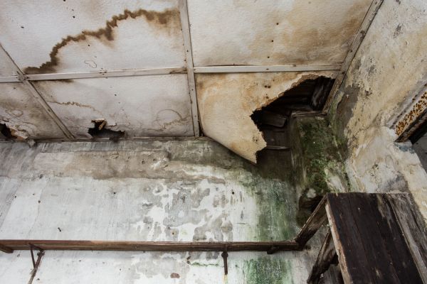 Cost of Water Damage Service in Palm Desert