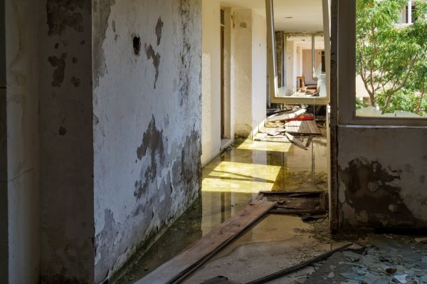 Cost of Water Removal Service in Palm Desert