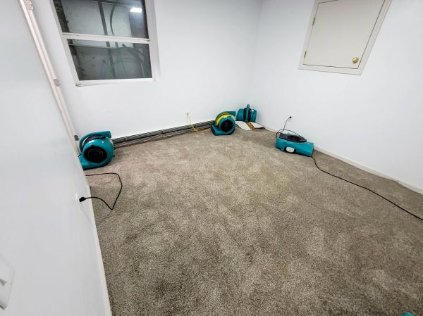 Flood Restoration Service in Palm Desert