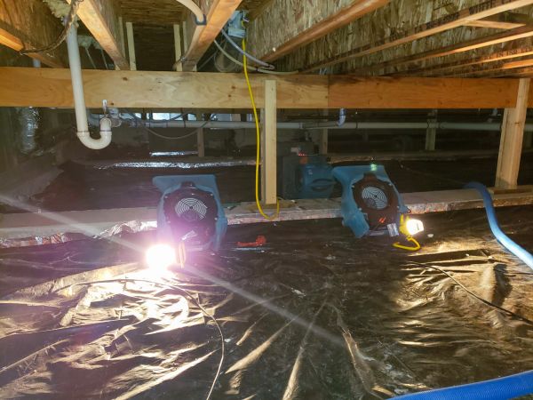 Cost of Crawlspace Water Removal in Palm Desert