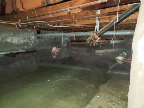 Cost of Crawlspace Water Restoration in Palm Desert